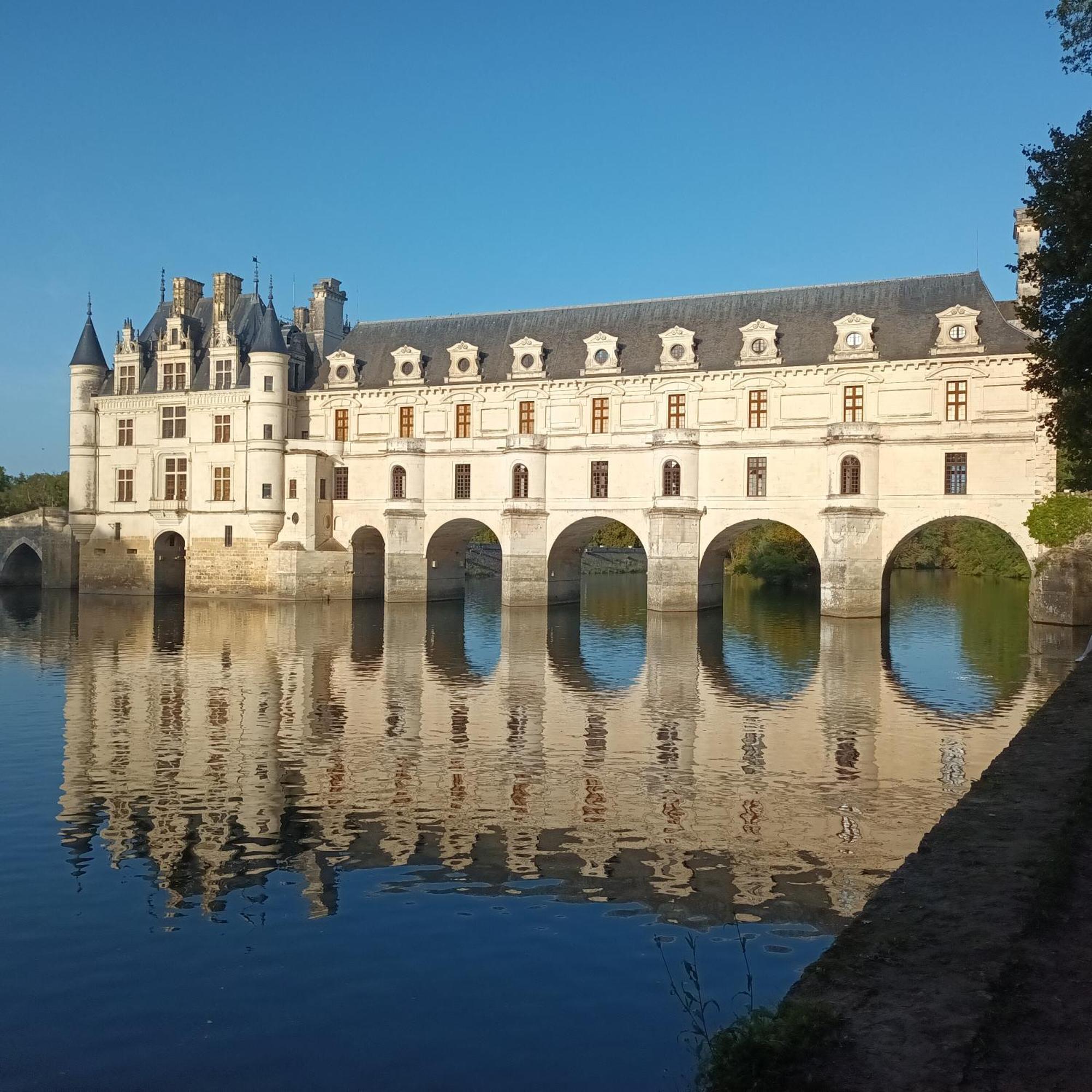 Au Nom Des Dames, Maison Et Table D'Hotes, Pres De Chenonceau Et Du Zoo De Beauval Faverolles-sur-Cher Exterior photo
